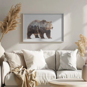 Bear Poster