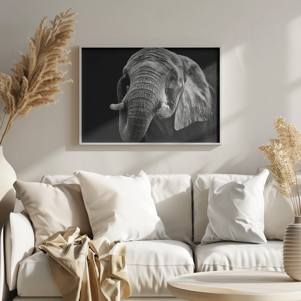 African Elephant Poster