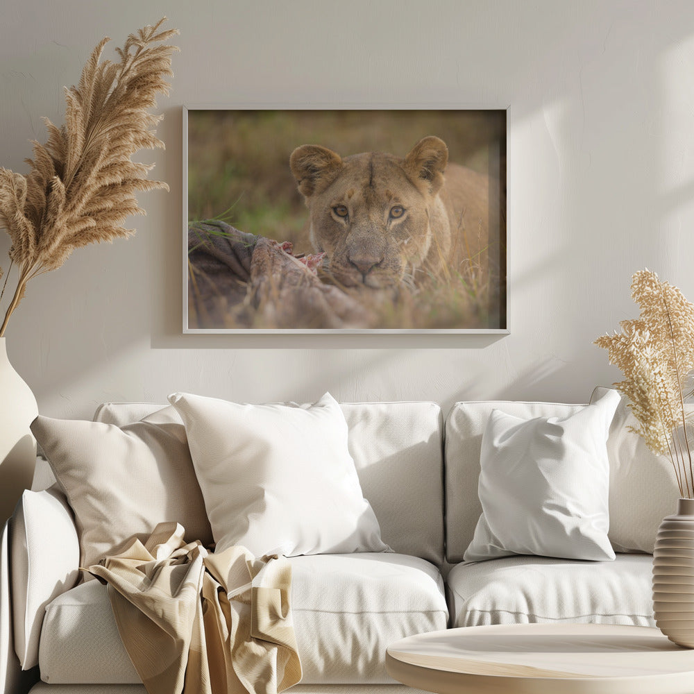 MARA LIONESS Poster