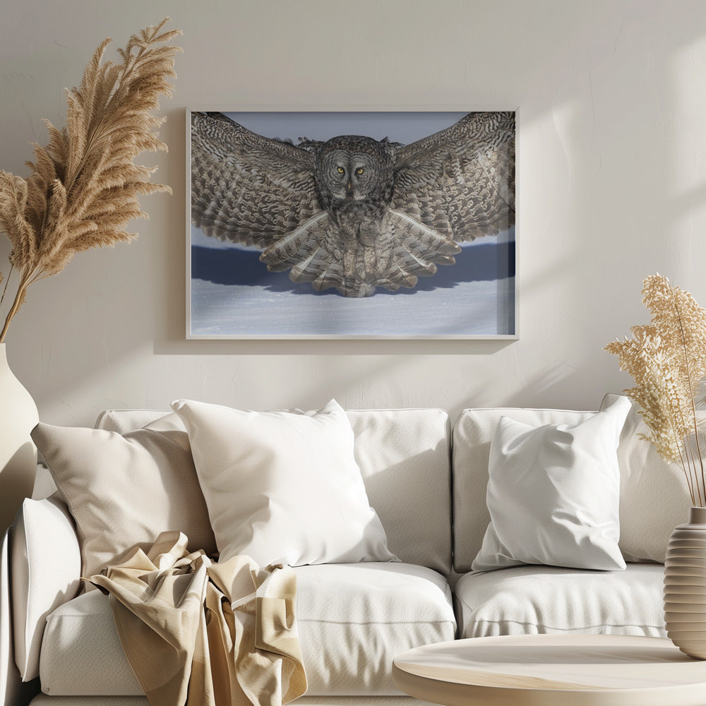 Great Grey Owl Poster