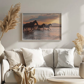 WATER HORSES Poster