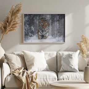 SnowTiger Poster