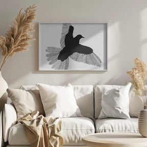 Bird   White Poster