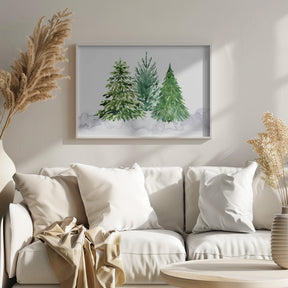 Three watercolor pine trees Poster