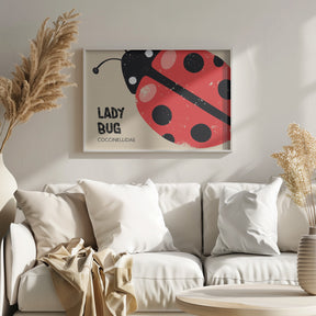 Lady Bug Poster