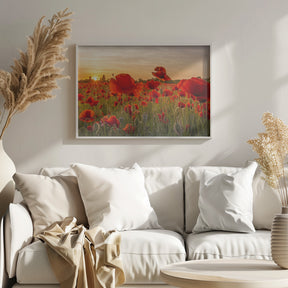 Setting sun in field of poppies | Panoramic Poster