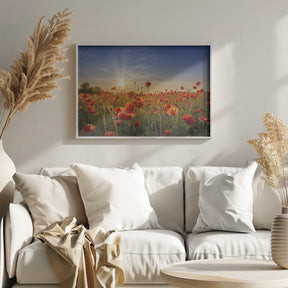 Poppy idyll in sunset Poster