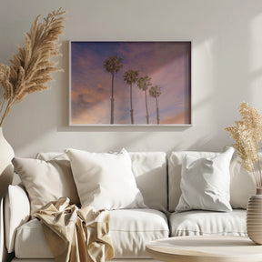 Palm trees - Idyllic sunset Poster