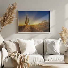 SAGUARO NATIONAL PARK Setting Sun Poster