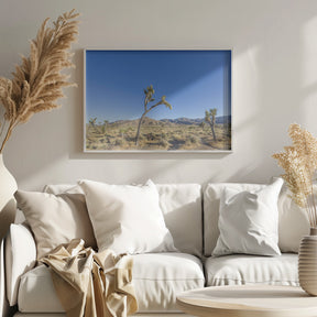 Joshua Tree National Park Impression Poster