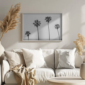 Palm trees by the sea | monochrome Poster