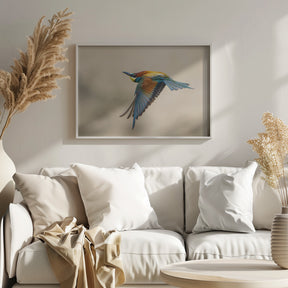 Bee-eater Poster