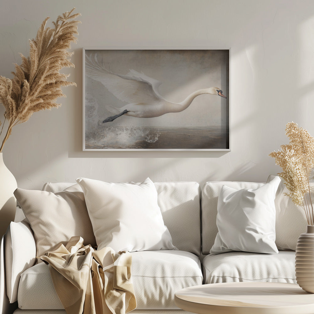 Flying Swan Poster