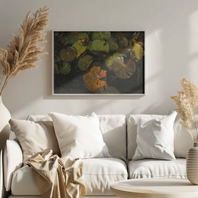 Lily Pads Poster