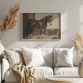 Dark Brown Horse Poster