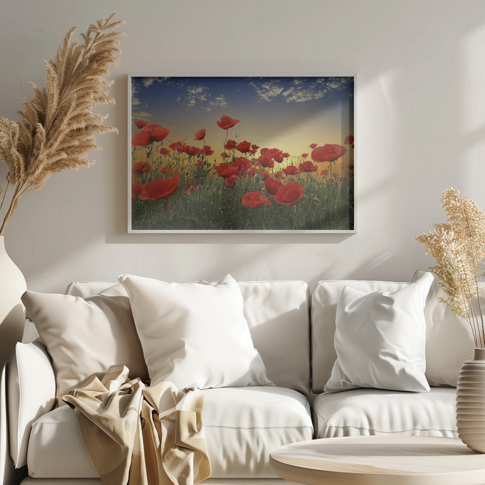 Poppies Poster