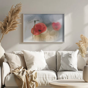 Morning Poppies Poster