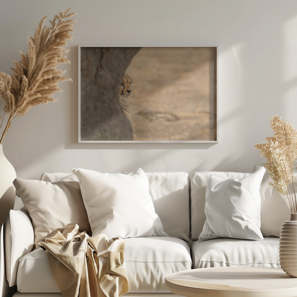 Cheetah hiding Poster