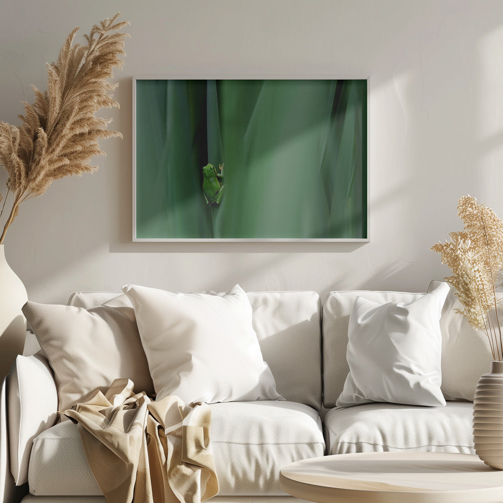 Stage curtain Poster