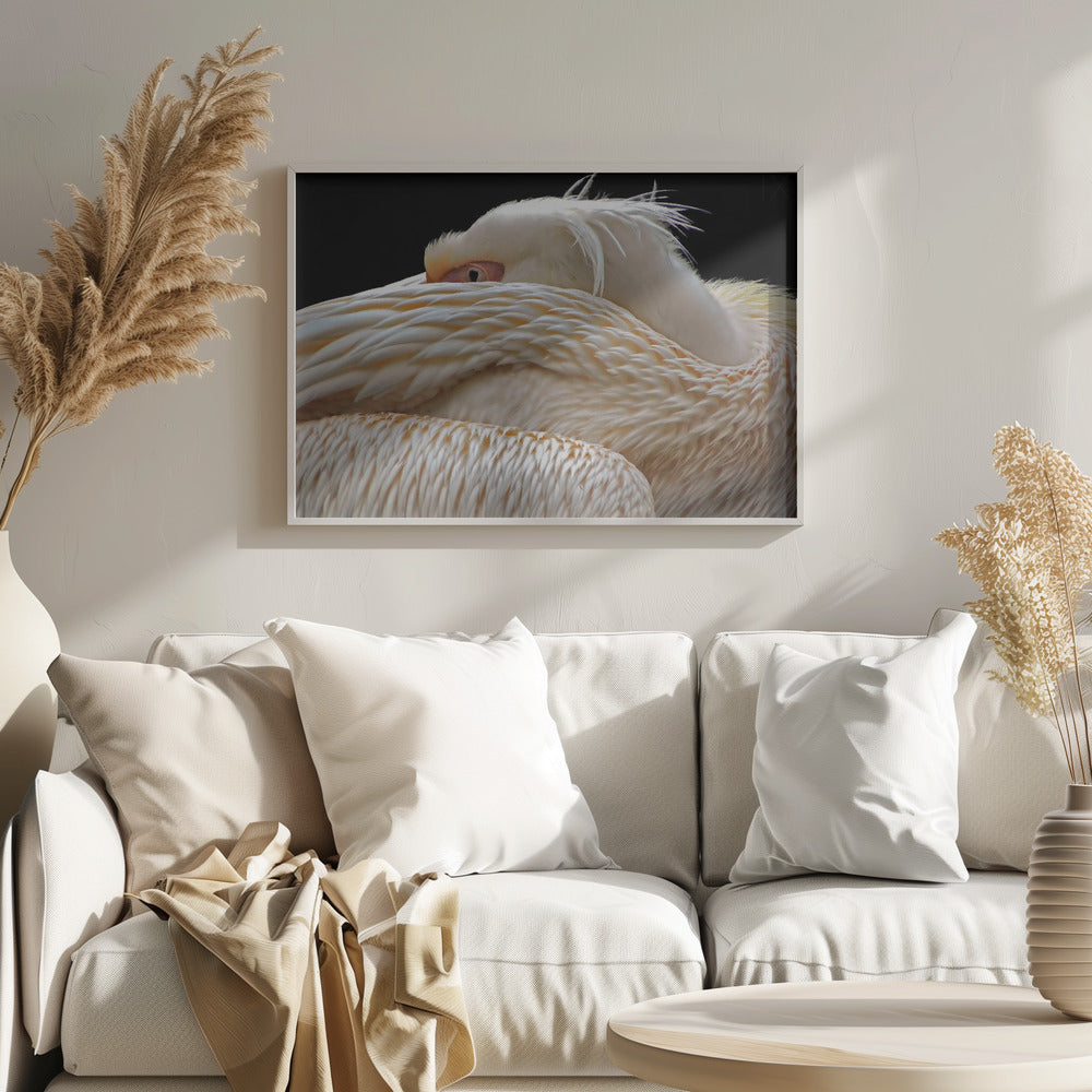 To be half asleep... Poster