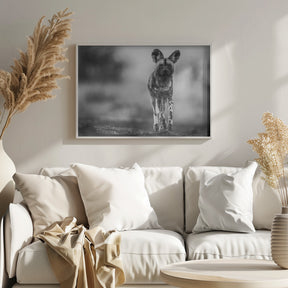 Monochrome Wild Dog Poster