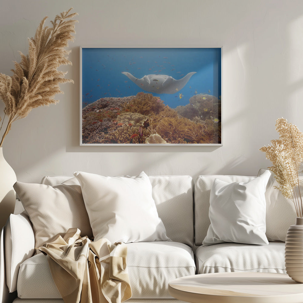 Natural aquarium Poster