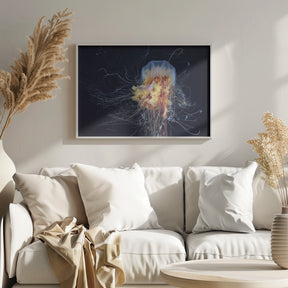 Giant Lion's Mane Poster