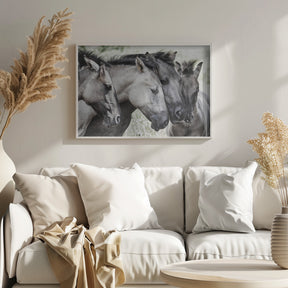 Four Konik Horses Poster