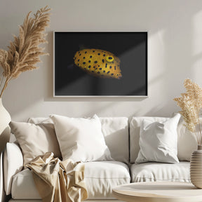 Yellow Boxfish Poster