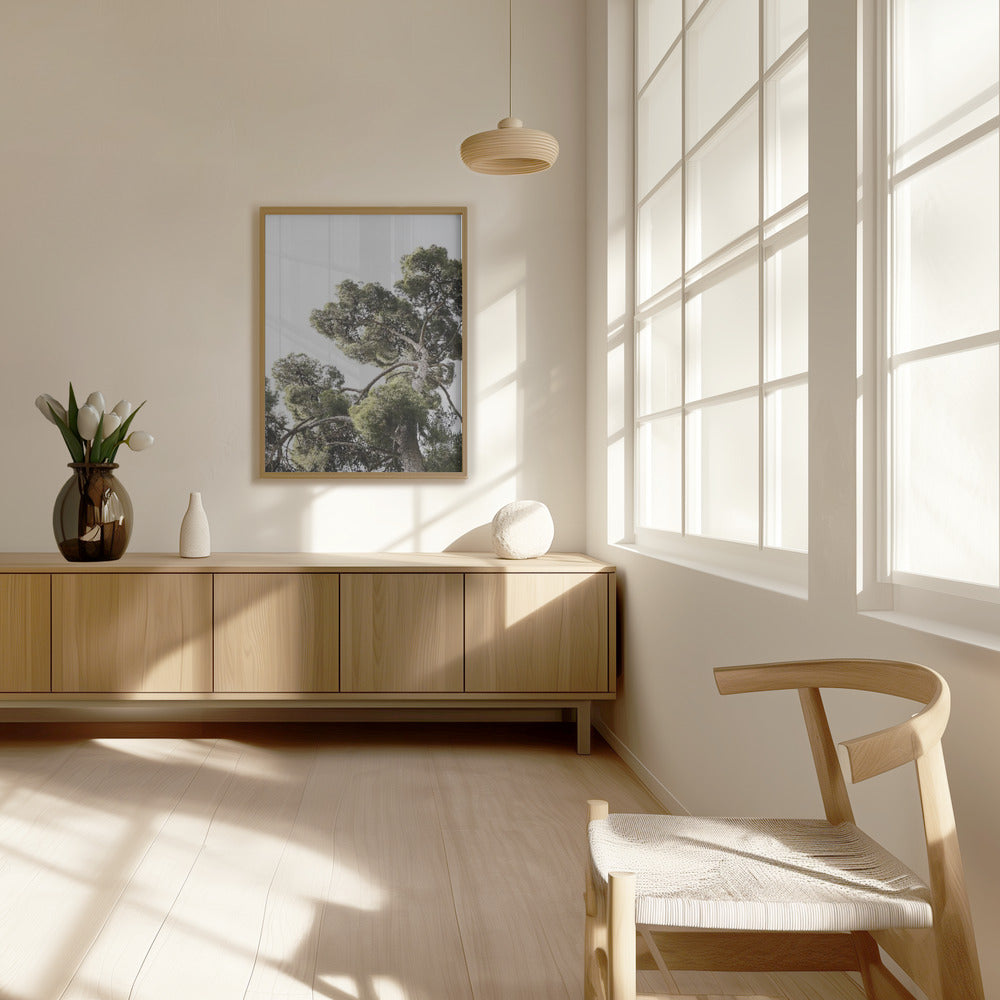 Japanese Garden 01 Poster