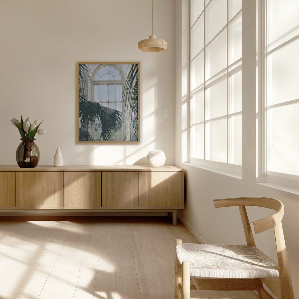 Palm House Windows Poster