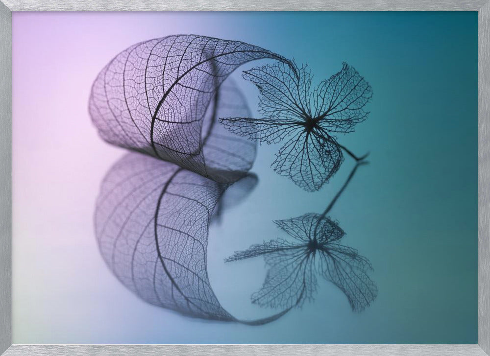 Story of leaf and flower Poster