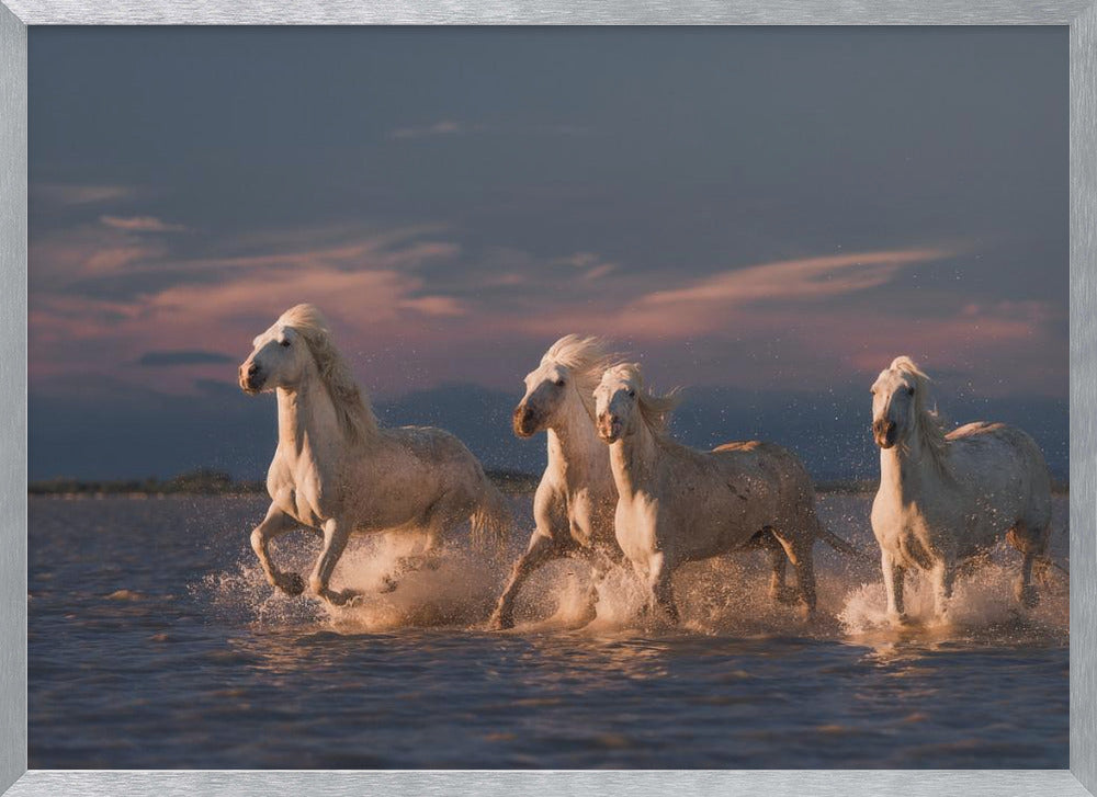 Angels of Camargue Poster