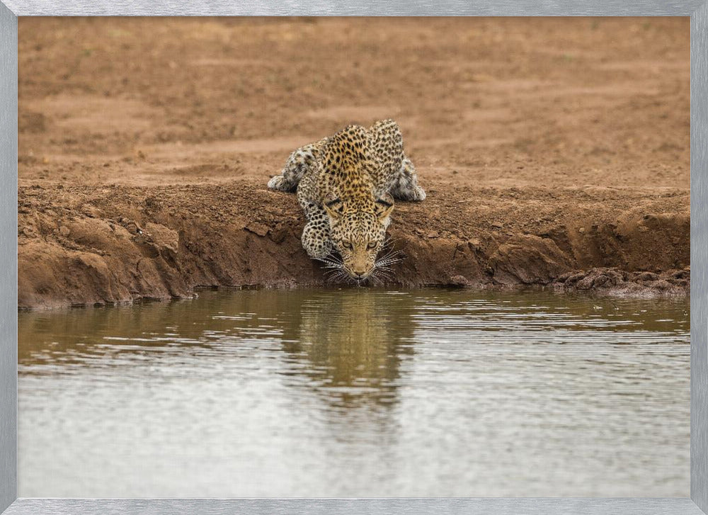 Going down low Poster