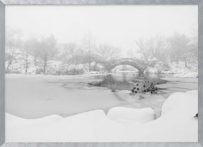 The first snow of central park Poster