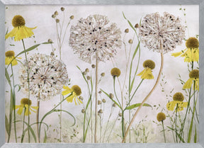 Alliums and heleniums Poster