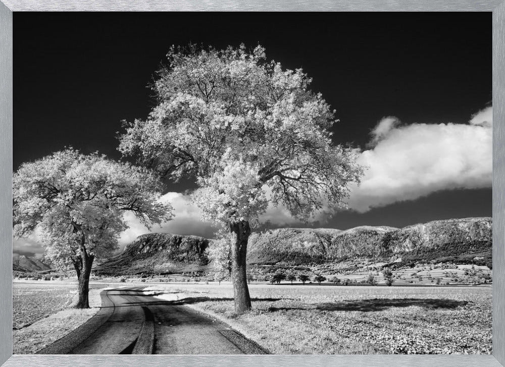 Hohe Wand Poster