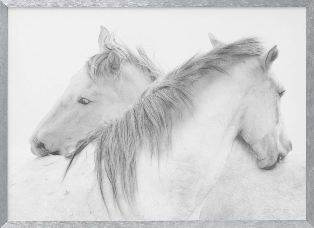 Horses Poster