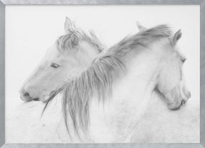 Horses Poster