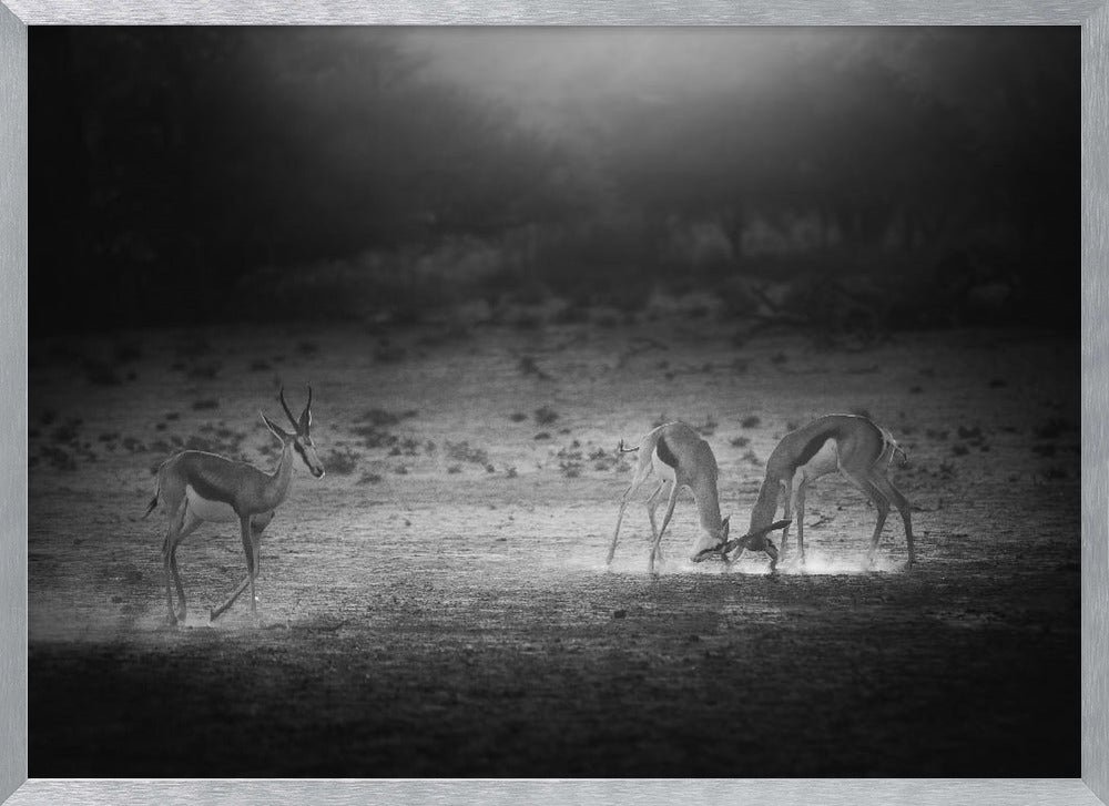 IN THE LIGHT OF SUNSET Poster