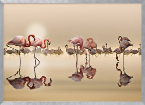 FLAMINGOS Poster