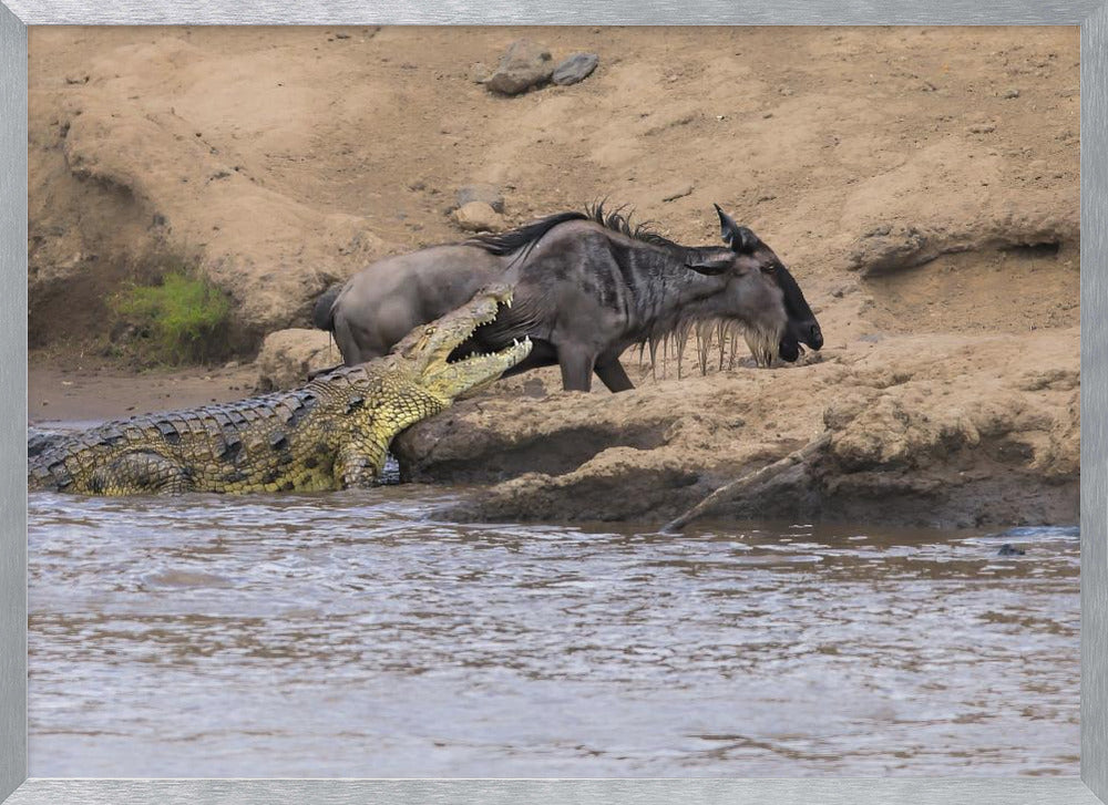 You Can't Get Me Poster