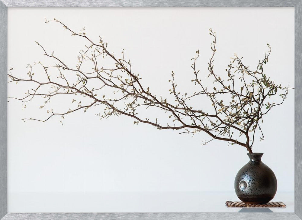 Vase And Branch Poster