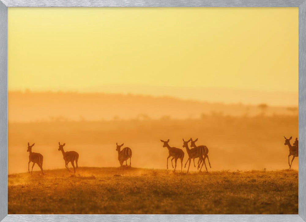 Towards Sunset Poster