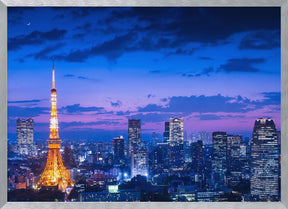 Tokyo night view Poster