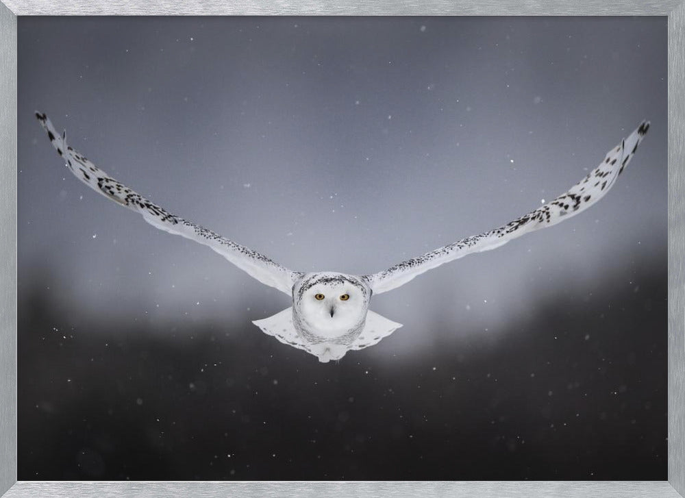 Straight to me Poster