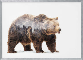 Bear Poster