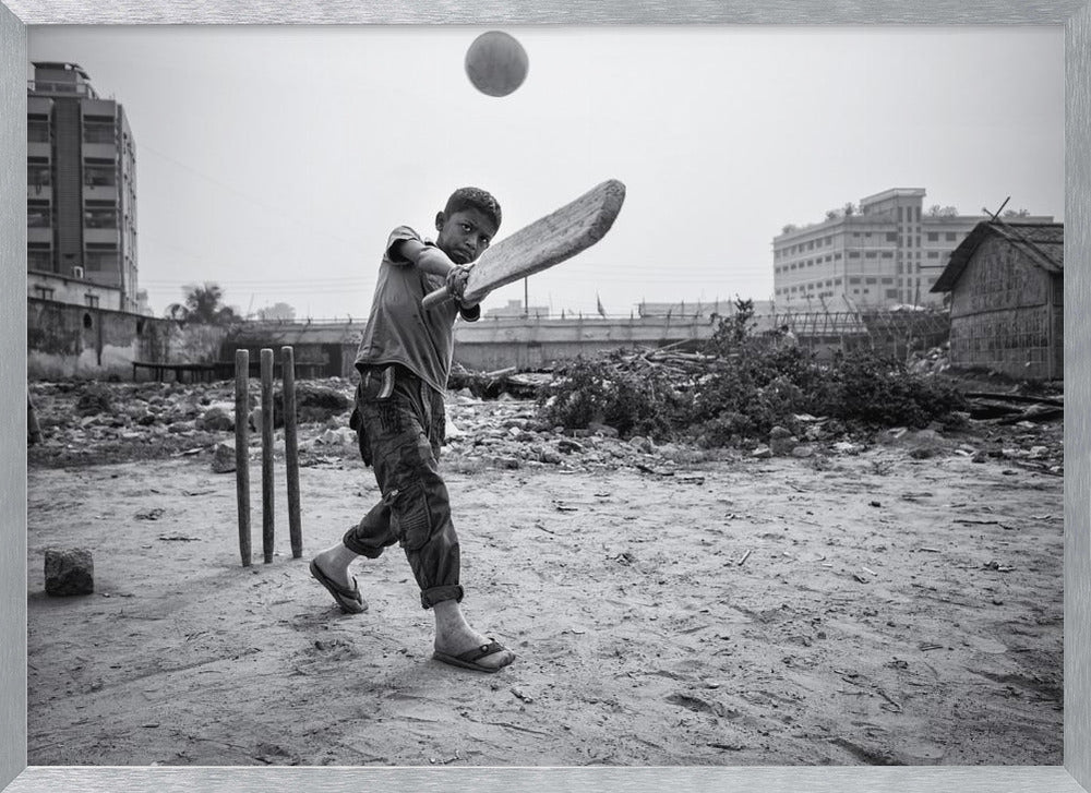 Street cricket Poster