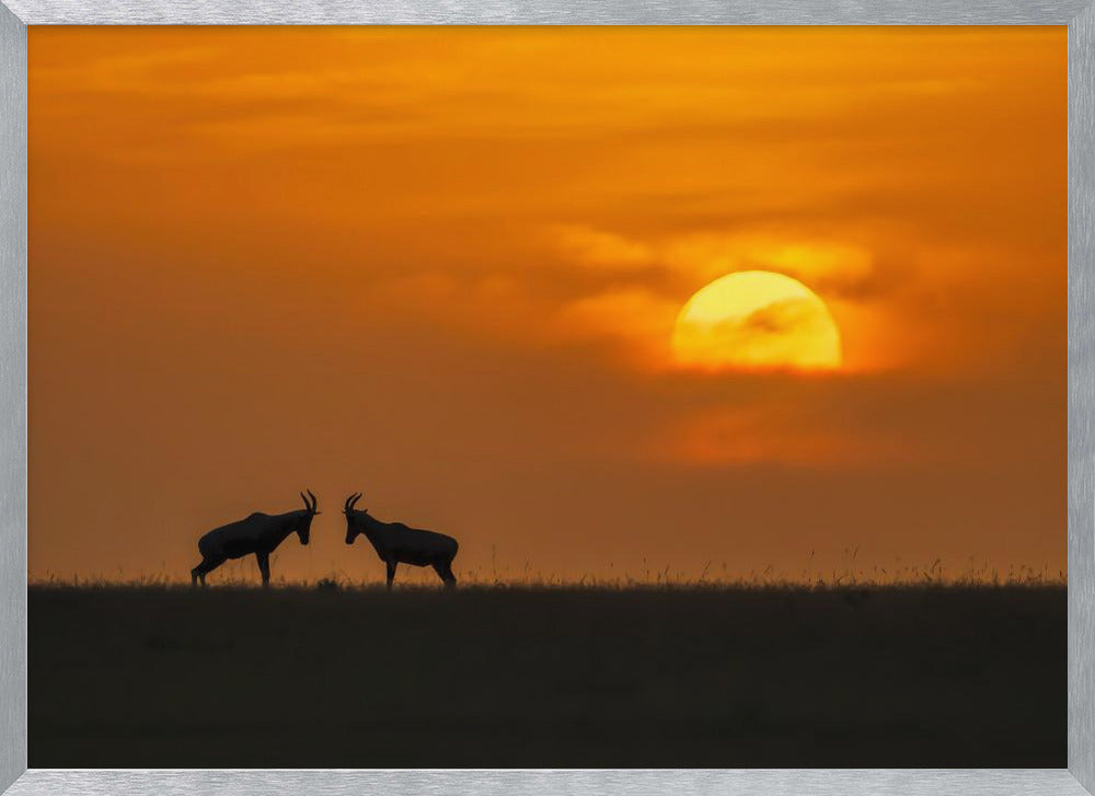 At The Sunset Poster