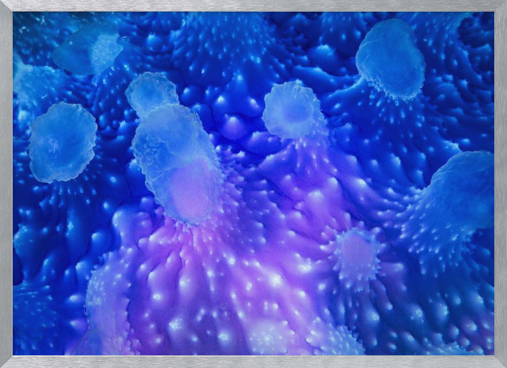 Underwater art : Jellyfish Poster